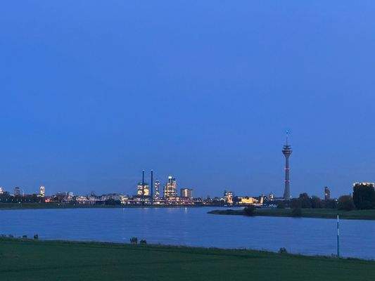 Rheinpanorama in 150 m Entfernung