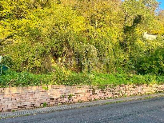 tolles Baugrundstück in ruhiger Lage