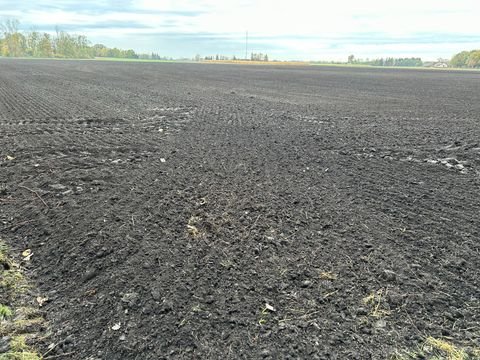 Moosinning Bauernhöfe, Landwirtschaft, Moosinning Forstwirtschaft