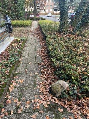 WhatsApp Image 2025-11-14 at 17.33.19 (1)