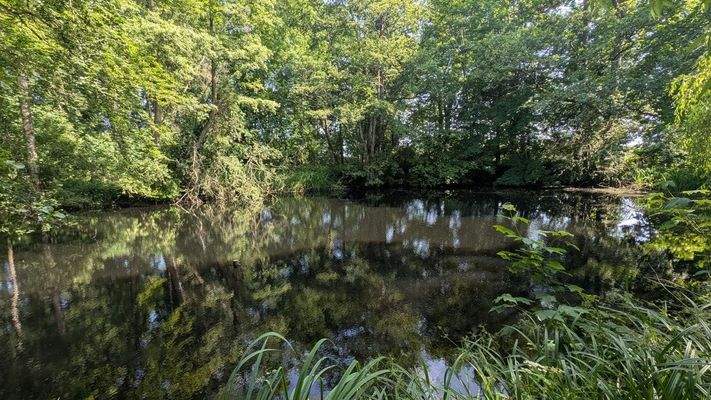 Teich vor dem Haus