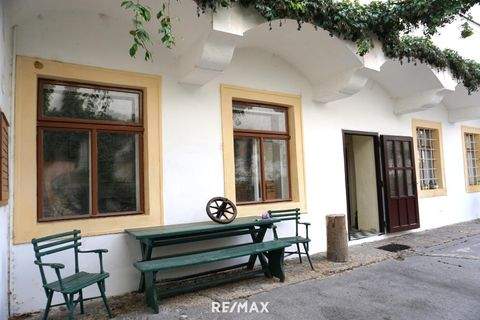 Hainburg an der Donau Ladenlokale, Ladenflächen 