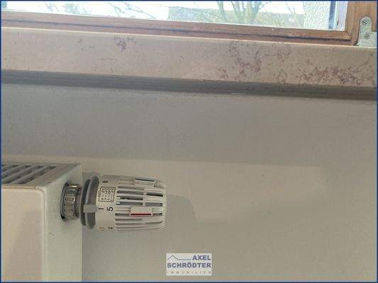 Neue Heizköper und Ventile 