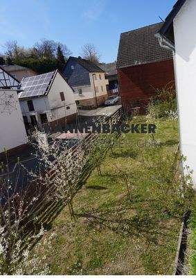 Vorgarten mit Obstbäumen