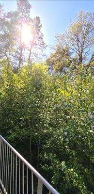 Süd-West Ausrichtung 