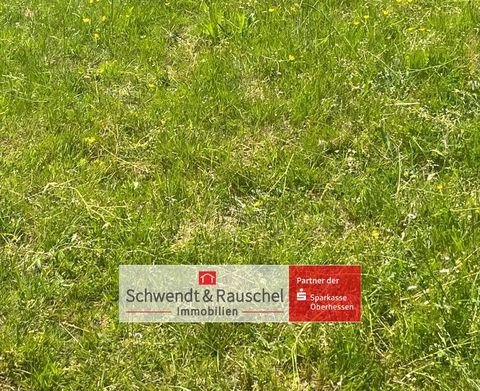 Feldatal Bauernhöfe, Landwirtschaft, Feldatal Forstwirtschaft