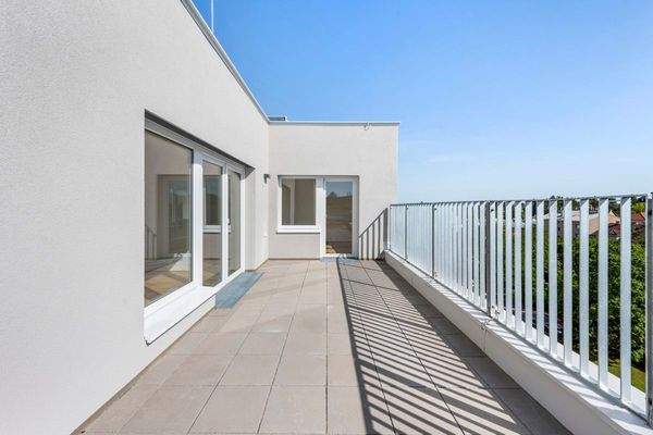 PMP456-AN-24955-Top 45-031