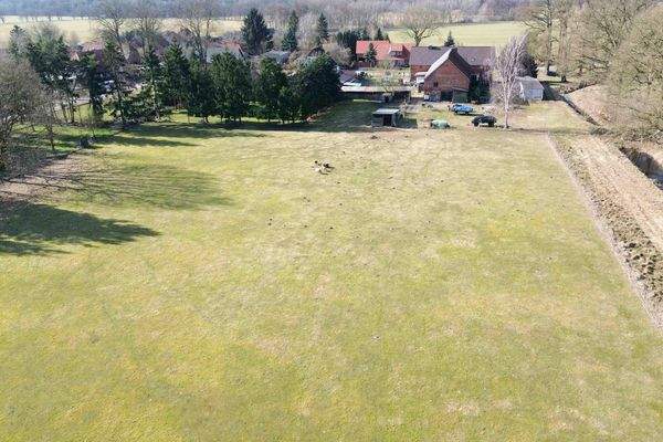 Rückansicht Grünland