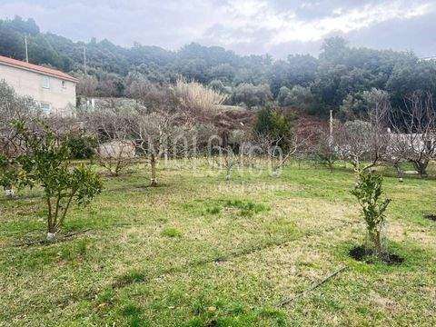 Rab Bauernhöfe, Landwirtschaft, Rab Forstwirtschaft