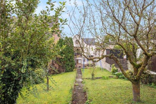 backbone_515802-B_047_HD