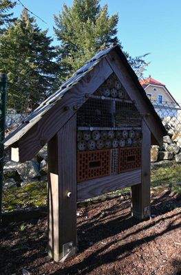 Platz für fliegende Bewohner