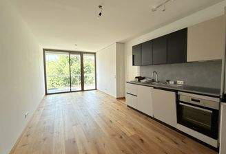 Wohnküche mit Grünblick