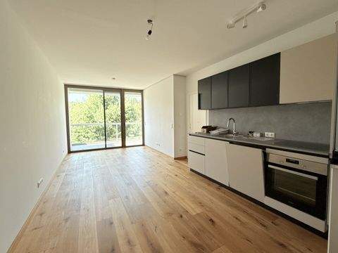 Pitten Wohnungen, Pitten Wohnung mieten