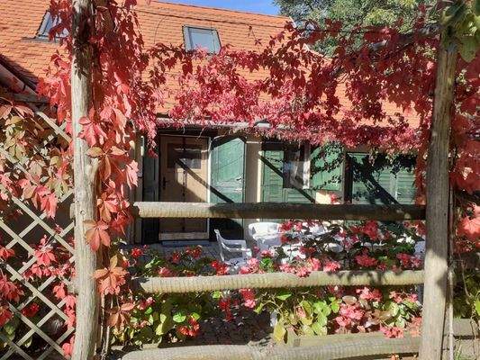 429798296_293291477114918_3298511102188382707_n.jp