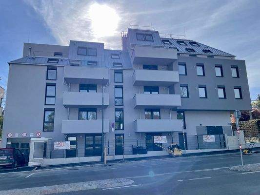 WhatsApp Image 2024-04-03 at 10.06.25 (4)