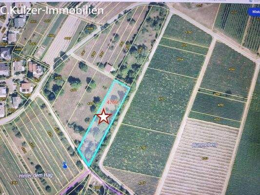 Flurstück 4769