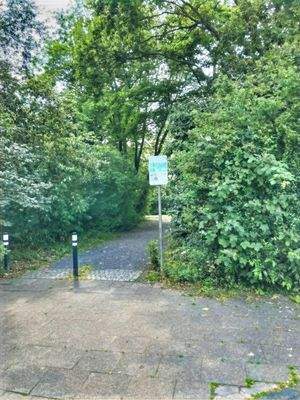 Grünanlagen am Haus