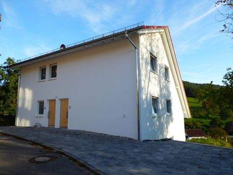 Erbach Häuser, Erbach Haus kaufen