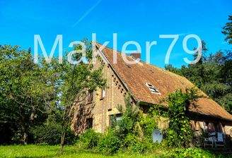 Außenansicht Garten