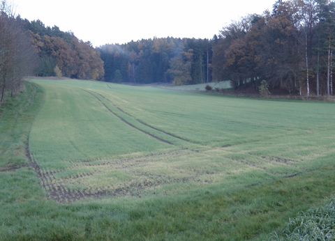 Gottfrieding Bauernhöfe, Landwirtschaft, Gottfrieding Forstwirtschaft