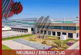 INFOS UNTER: 06171-586000