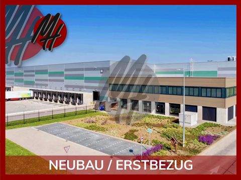 Magdeburg Halle, Magdeburg Hallenfläche