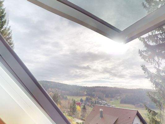 Blick aus dem Dachfenster in Richtung Mummelsee