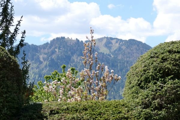 11-Ausblick-Terrasse