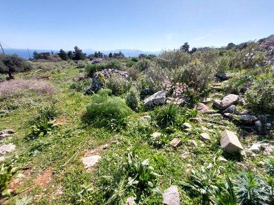 WhatsApp Image 2024-03-12 at 14.15.51_9395ac15.jpg