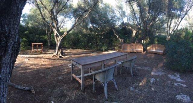 Grundstück mit Projekt für ein Haus mit Pool zum Verkauf in Felanitx, Mallorca.