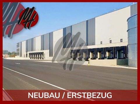 Magdeburg Halle, Magdeburg Hallenfläche