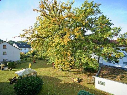 Gemeinschaftlicher Garten