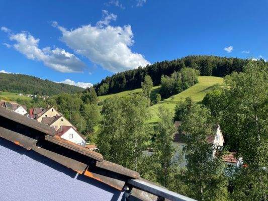 Aussicht vom Balkon Dachgeschoss