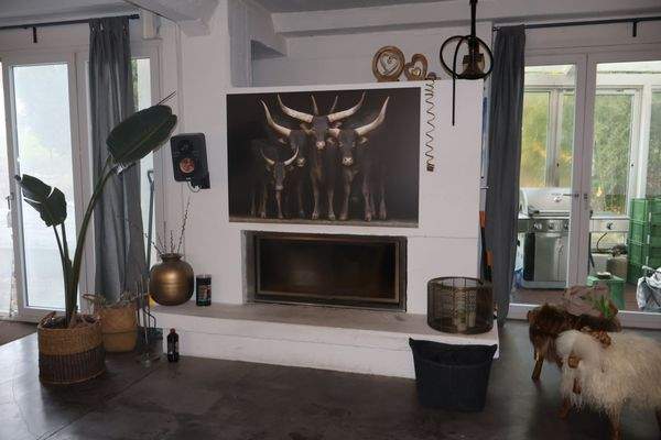 Kamin Pic1 HSS3LOFTDITEN