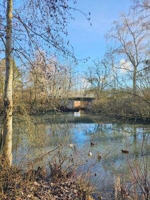 Teich vor dem Grundstück