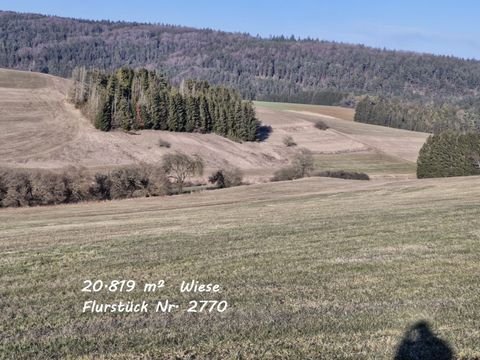 Immendingen Grundstücke, Immendingen Grundstück kaufen