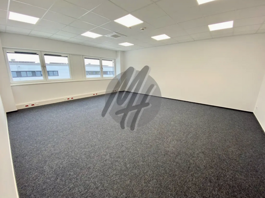 INFOS UNTER: 06171-586000