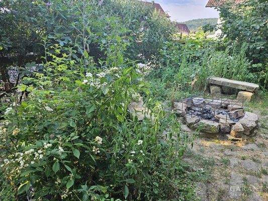 Garten Ausschnitt