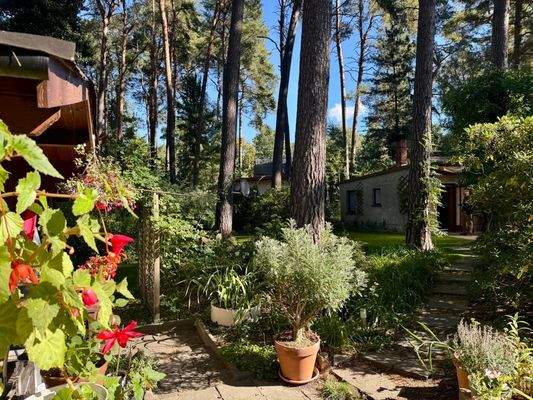 Blick Richtung Wochenendhaus