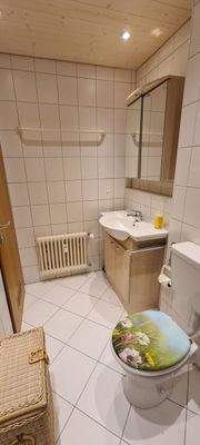 Ferienhaus Österreich kaufen010