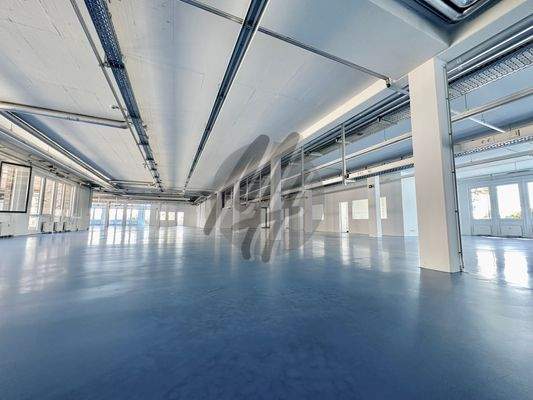 INFOS UNTER: 06171-586000