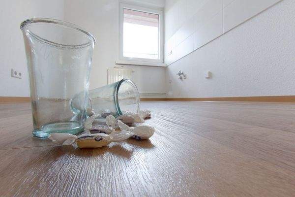 web 1094-0014 Pappelallee 22_4li_Juli20-11.jpg