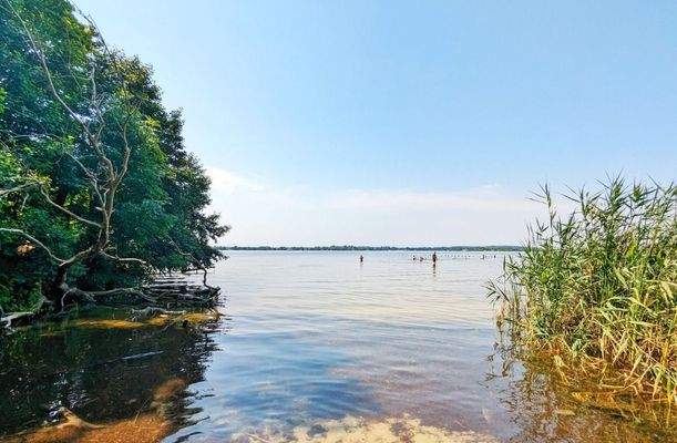 Badestelle Großer Zernsee (5 Autominuten entfernt)