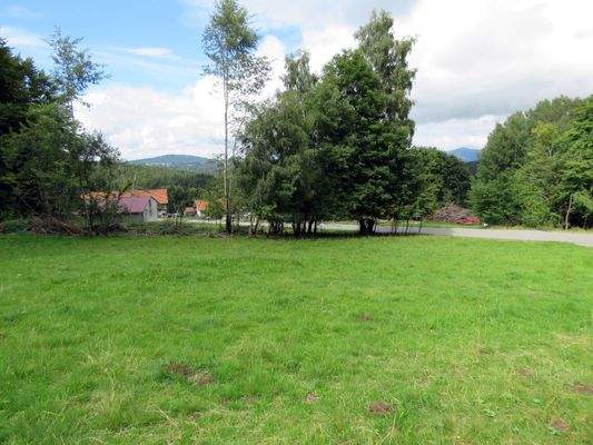 Blick zum nächsten Nachbarn  