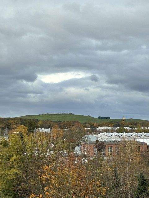 Dessau-Roßlau Wohnen auf Zeit, möbliertes Wohnen