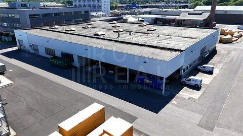 Mönchengladbach Halle, Mönchengladbach Hallenfläche