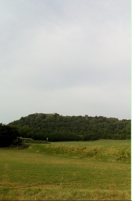 Schermata 2021-06-16 alle 10.32.30.png