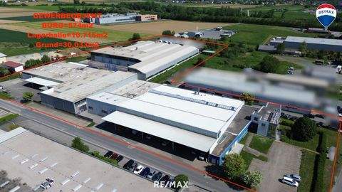 Güssing Halle, Güssing Hallenfläche