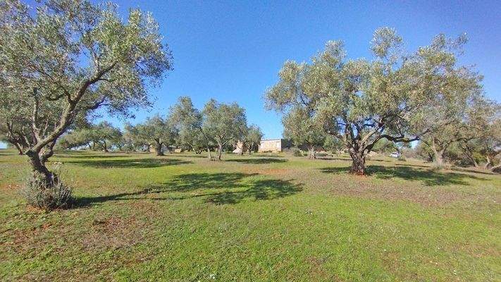 2602 andalusien, huelva, villarossa, finca, gästeapartment, pool, stall, verkauf