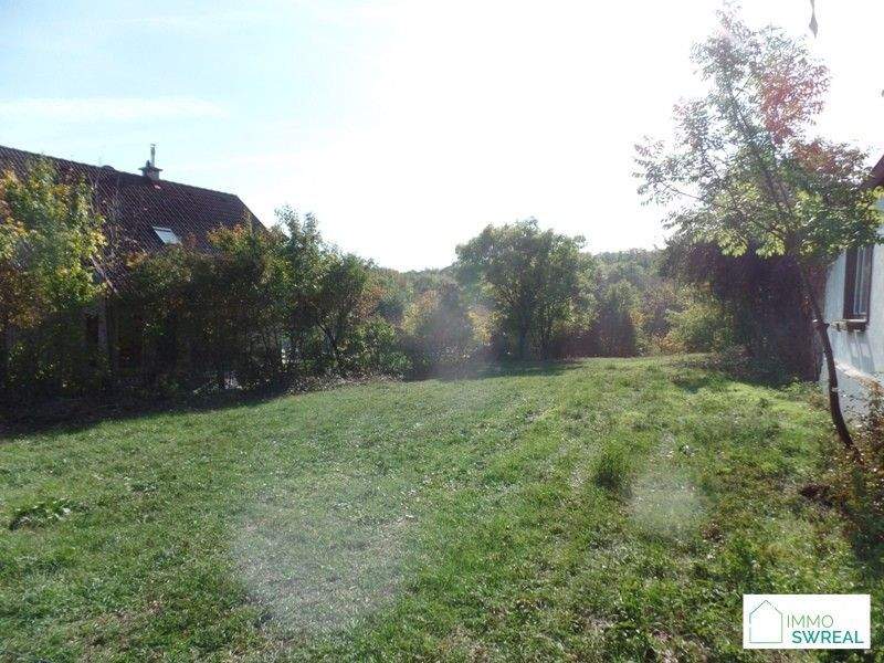 Real Estate Image